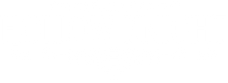 Hollow Knight