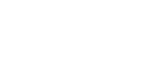 Hollow Knight